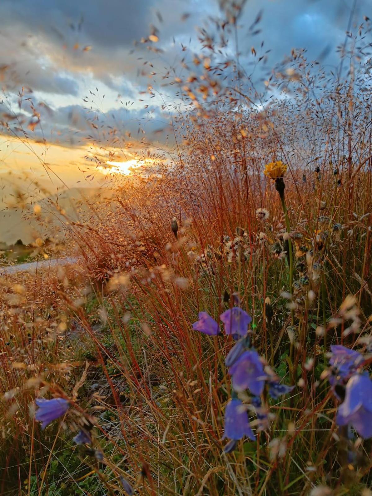 Appartamenti Sonnenuhr Sexten Buitenkant foto